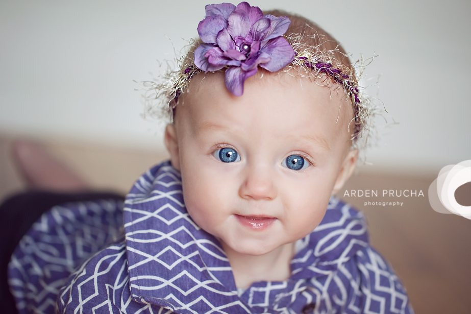 edie-halo